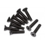FLAT HEAD SCREW M3x14mm (HEX SOCKET/10pcs)