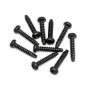 TP. BUTTON HEAD SCREW M3x15mm (10pcs)