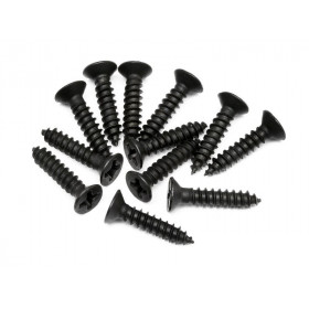 TP. FLAT HEAD SCREW M3x15mm (12pcs) TP. FLAT HEAD SCREW M3x15mm (12pcs)
