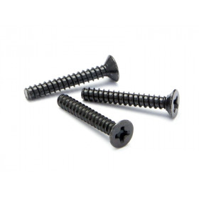 TP. FLAT HEAD SCREW M3x20mm (10pcs) TP. FLAT HEAD SCREW M3x20mm (10pcs)