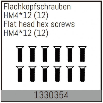 Flat head hex fine pitch screws HM4*12/12 pcs - 1330354