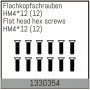 Flat head hex fine pitch screws HM4*12/12 pcs - 1330354