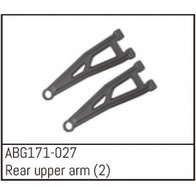 Rear Upper Arms Rear Upper Arms