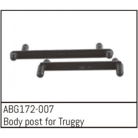 Body Post for Truggy F/R Body Post for Truggy F/R