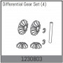 Differential Gear Set