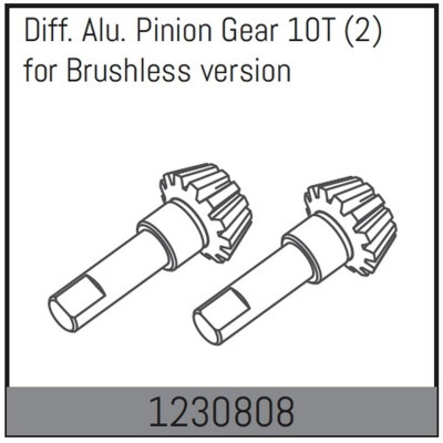 Differential Gear 10T (2)