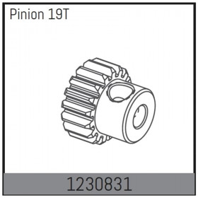 Motor Pinion 19T Motor Pinion 19T