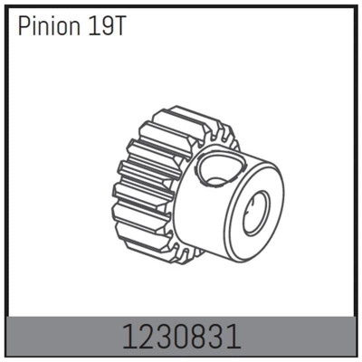 Motor Pinion 19T