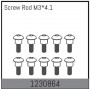 Screw Rods M3x4.1 (10)