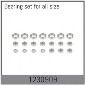 Complete Bearing Set Complete Bearing Set
