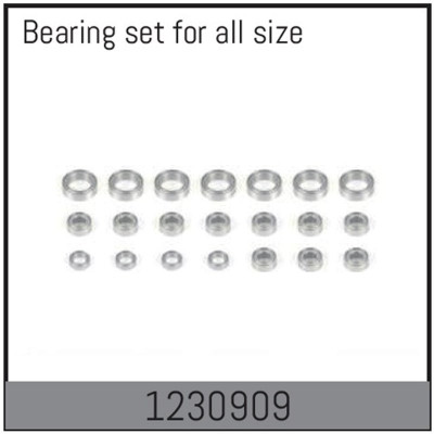 Complete Bearing Set
