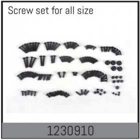Complete Screw Set Complete Screw Set
