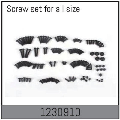 Complete Screw Set
