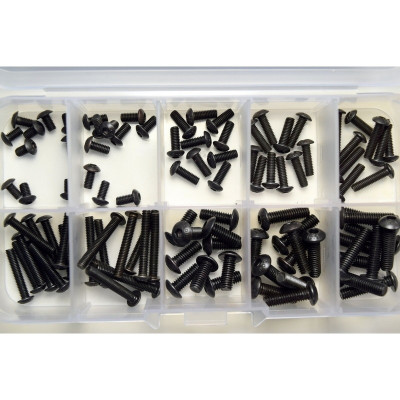 Roundhead Screw Box (100 pcs.)
