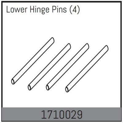 Lower Hinge Pins (4)