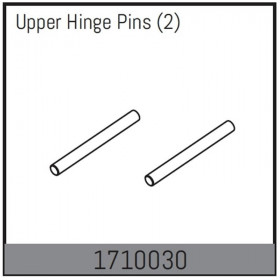 Upper Hinge Pins (2) Upper Hinge Pins (2)