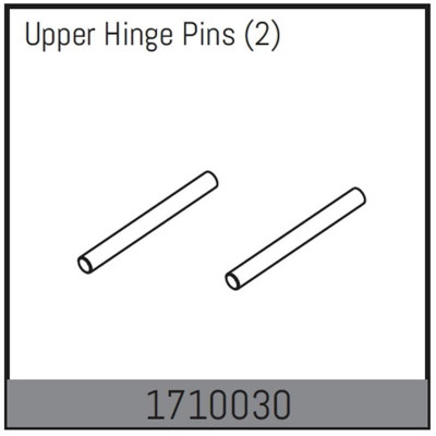 Upper Hinge Pins (2)