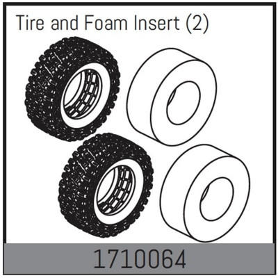 Tire and Foam Insert (2)