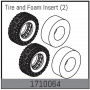 Tire and Foam Insert (2)