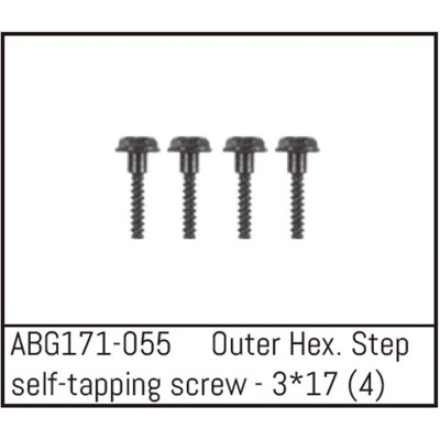 Outer Hex. Step Self-Tapping Screw M3x17 (4)