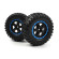 Smyter Desert Wheels/Tires Assembled (Black/Blue)