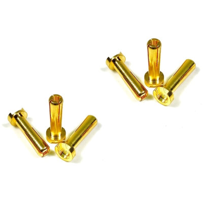 Bullet Plugs 4mm (6)