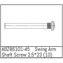 Swing Arm Shaft Screw 2.5x23 - Mini AMT (10)