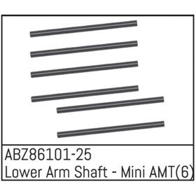Lower Arm Shaft - Mini AMT (6) Lower Arm Shaft - Mini AMT (6)