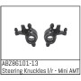 Steering Knuckles L/R - Mini AMT