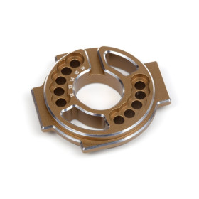 Aluminum Motor Mount (Gold) Aluminum Motor Mount (Gold)