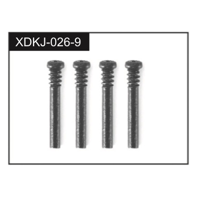 2.5*19 Screws (4)