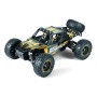 Smyter DB 1/12 4WD Electric Desert Buggy