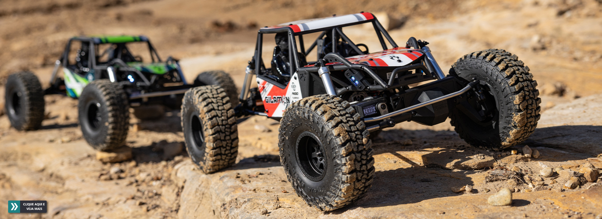 Axial 1/8 AXP8 Gilamon 2.2 Axial 1/8 AXP8 Gilamon 2.2